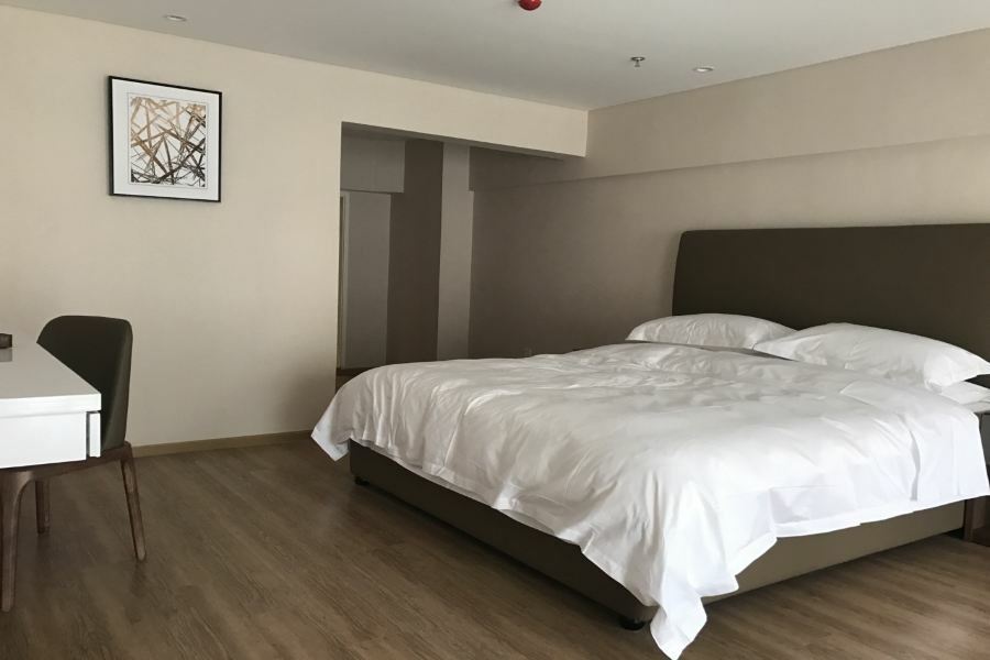 Home Plus Suite Hotel And Apartment 武漢市 エクステリア 写真